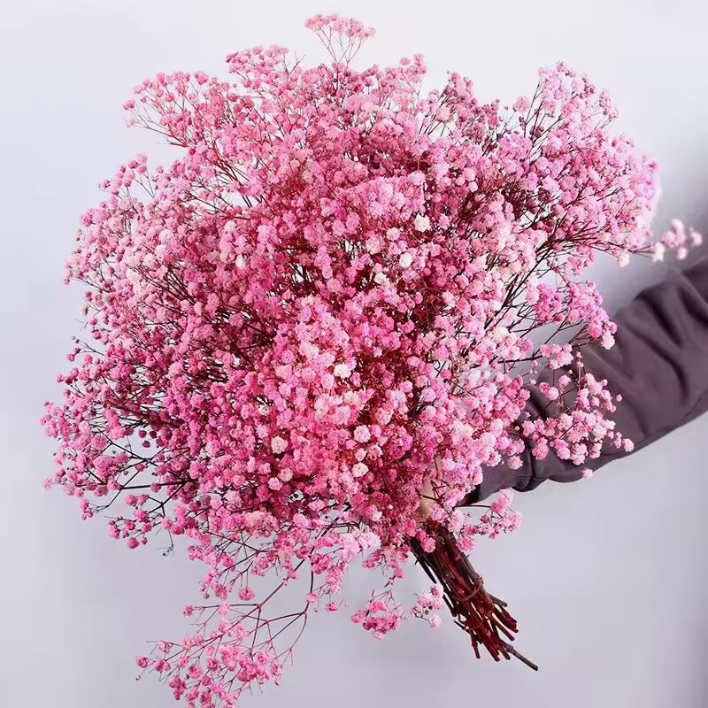 30-100g Natural Dried Gypsophila Flower Baby Breath Bouquets Floral Gypsophila Branches for Home Decor Wedding Garland Decoratio